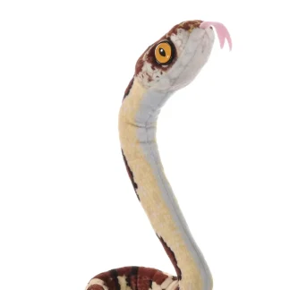 Wild Republic Coilkins*Coilkins Blunt Headed Tree Snake Stuffed Animal - 12"