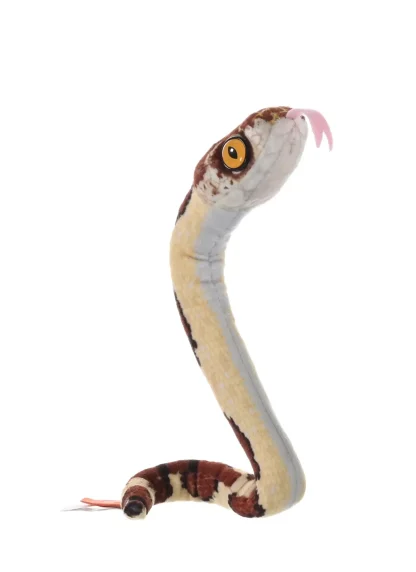 Wild Republic Coilkins*Coilkins Blunt Headed Tree Snake Stuffed Animal - 12"