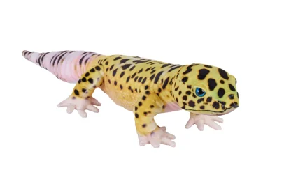 Wild Republic Living Series*Living Earth Leopard Gecko Stuffed Animal - 24"