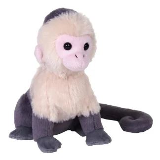 Wild Republic Rainforest Series*Rainforest Splendors White Faced Capuchin Stuffed Animal - 6"